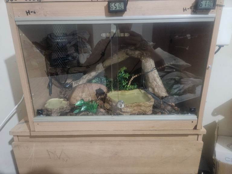 Full Vivarium setup everything included