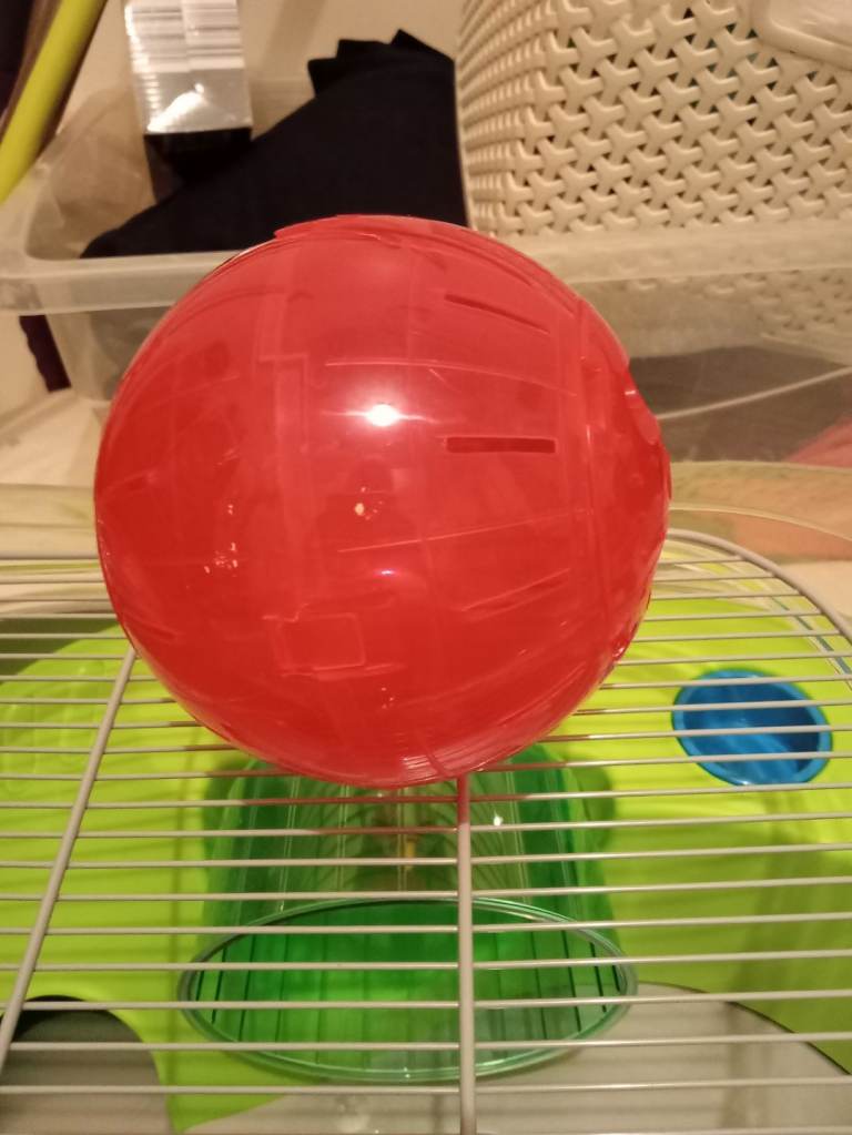 Small red hamster ball