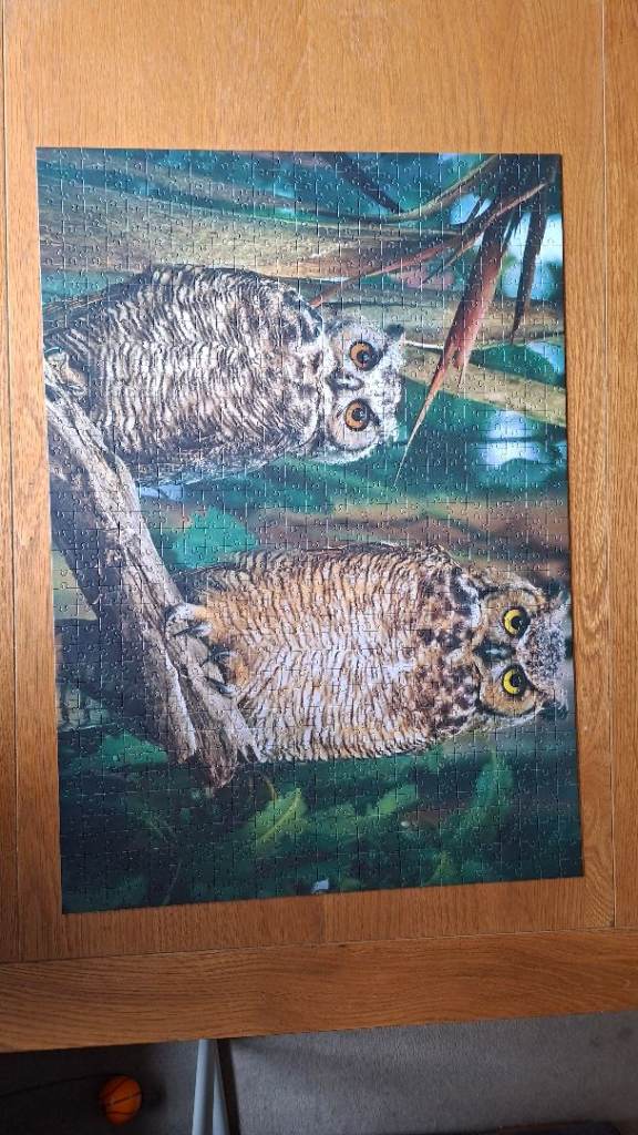 Trefl Jigsaw 1000 pieces complete.