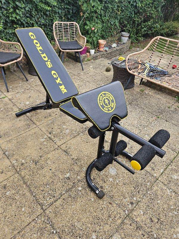 Weight bench incline/decline with leg extension and bicep curl pad