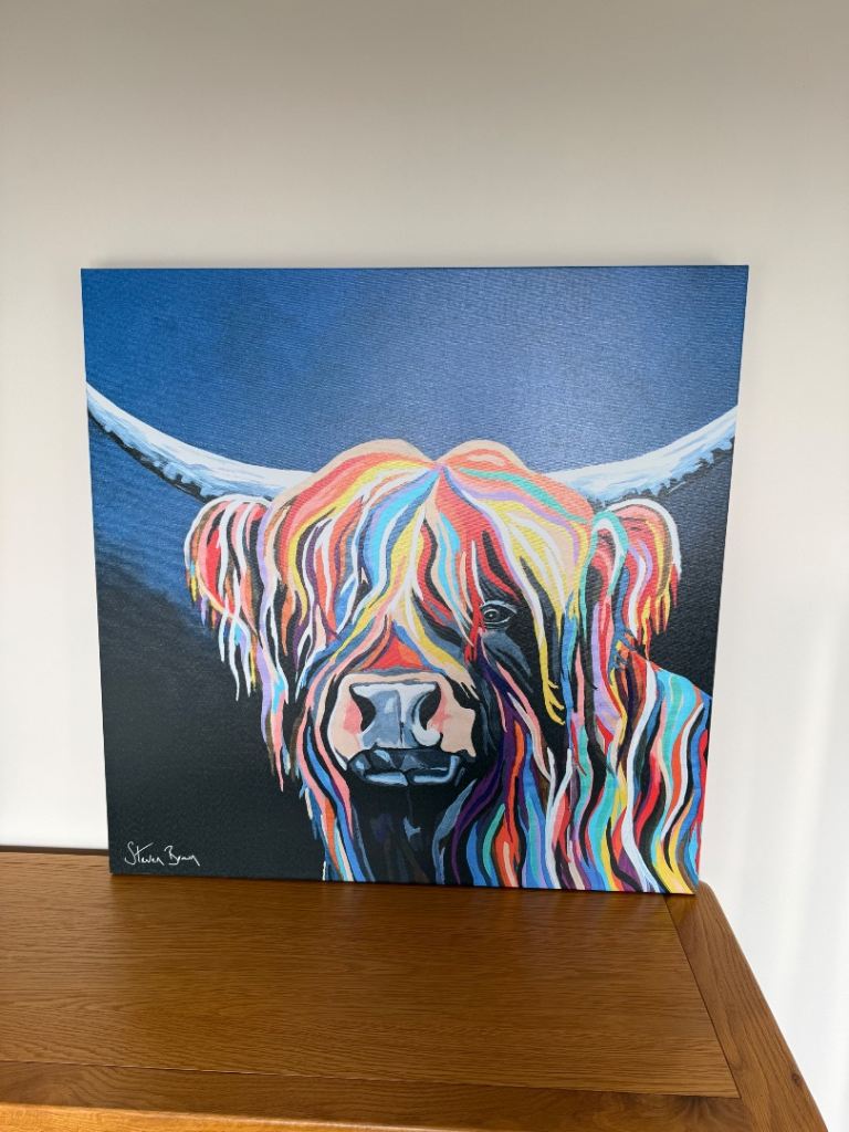 Steven Brown Highland Cow Canvas Art – As Good As New