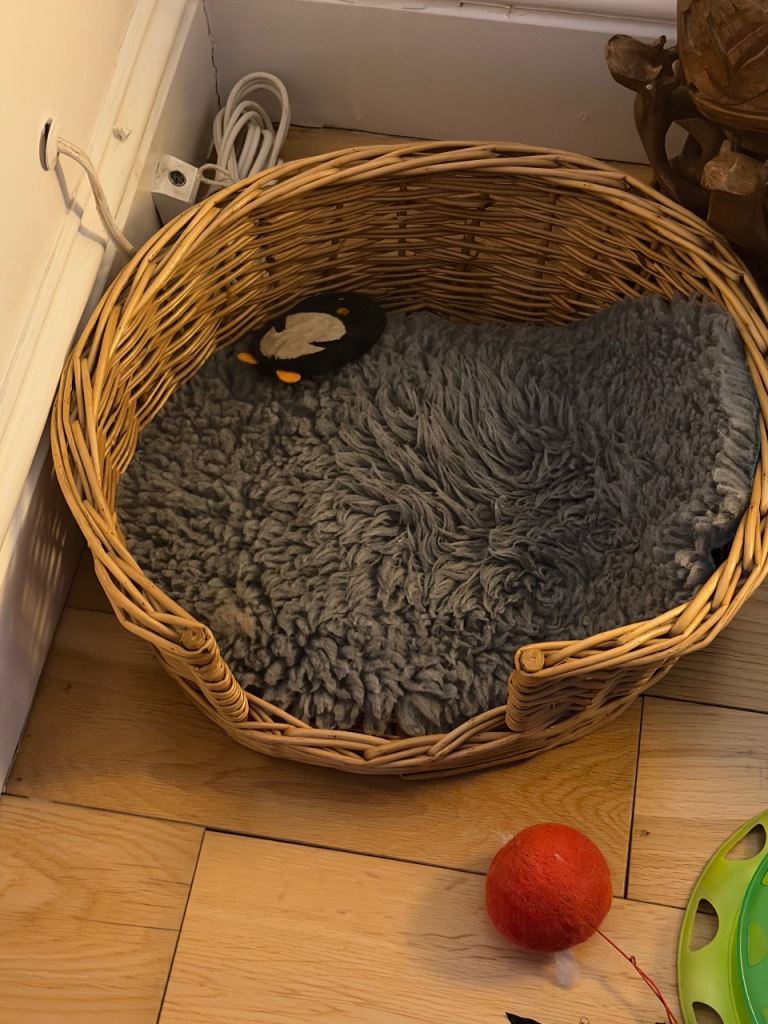 Cat wicker basket with fluffy blanket