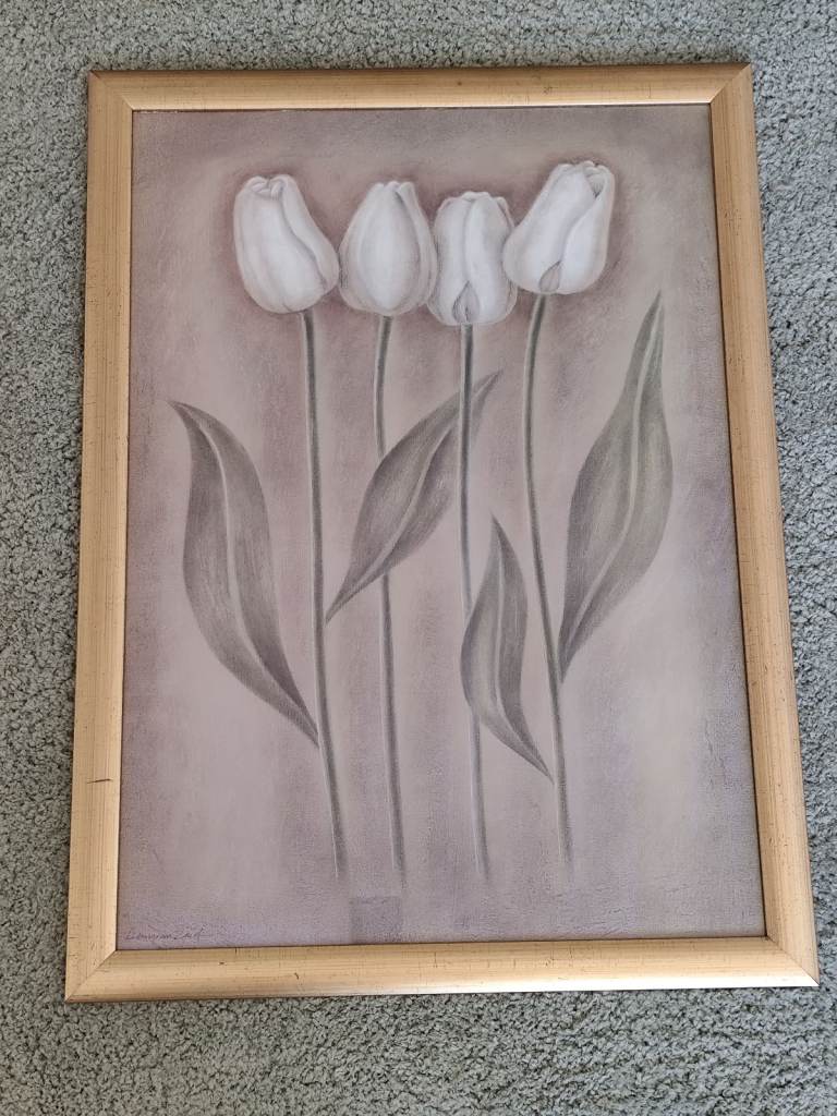 Picture of tulips 