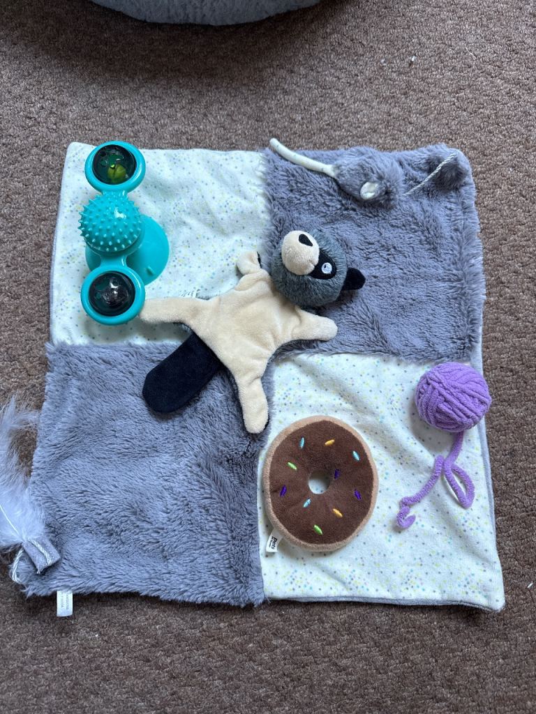 Cat toys barely used