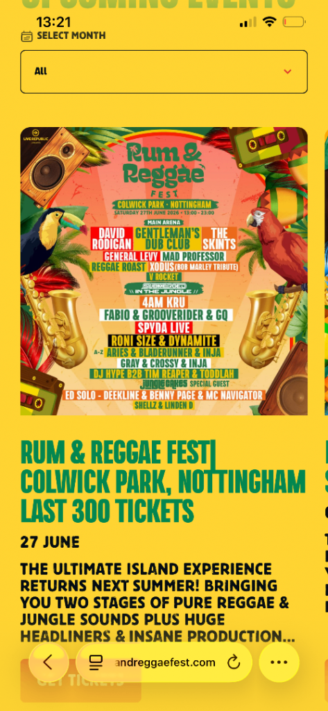 Rum and reggae festival today 1 ticket