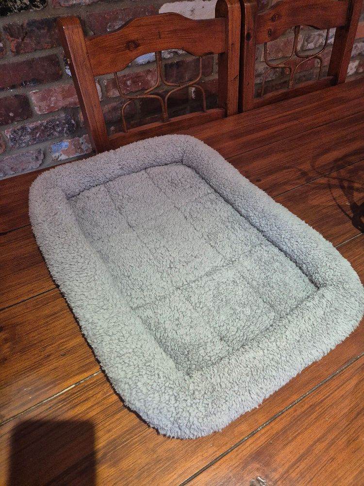 cat bed perfect condition