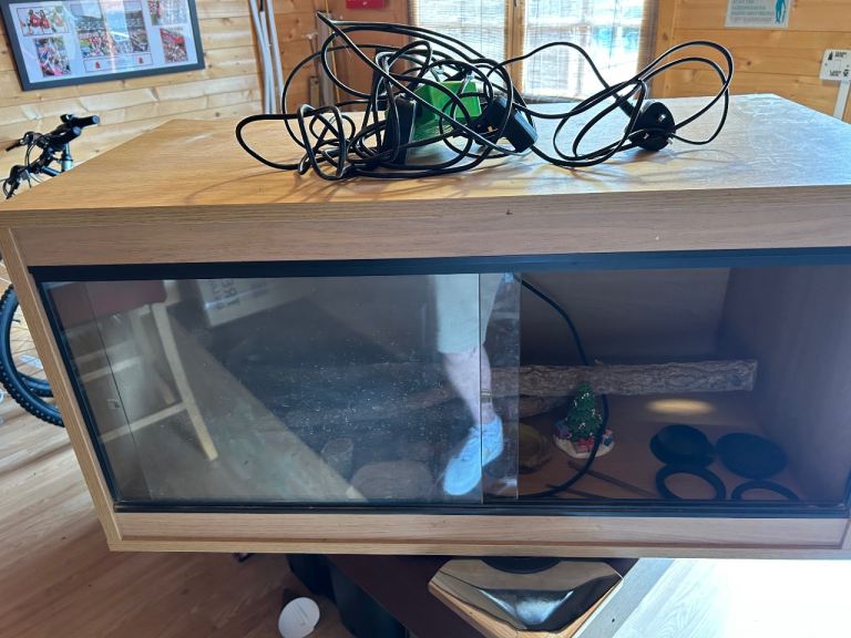 Reptile Vivarium Set Up