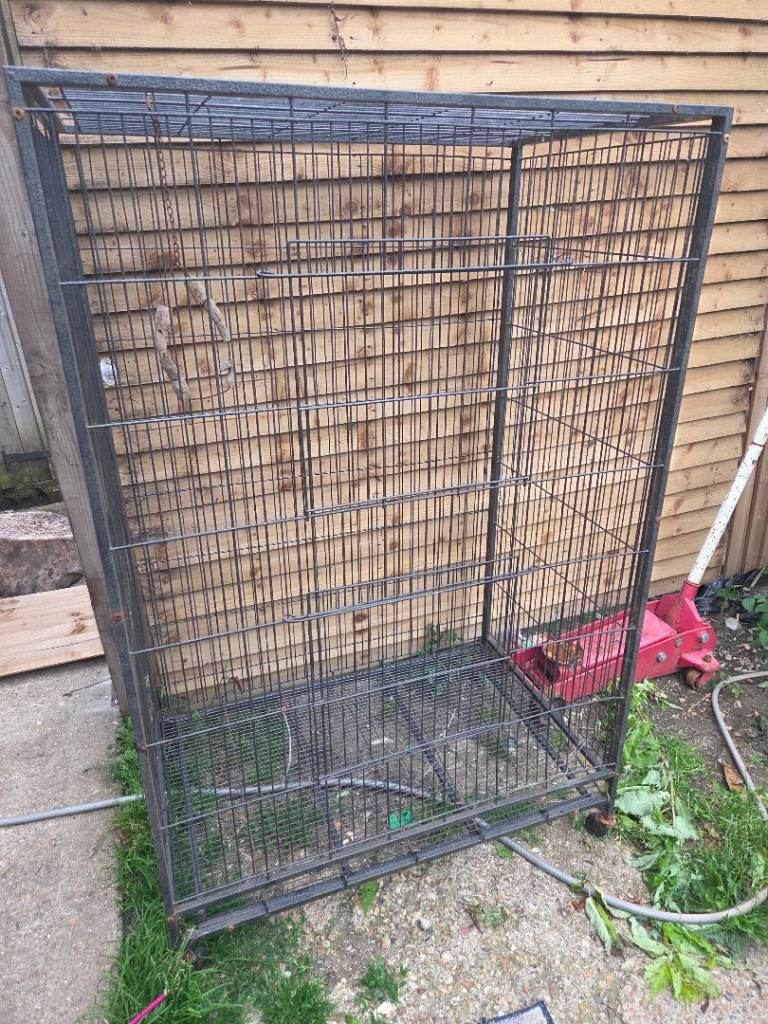 Exotic bird cage