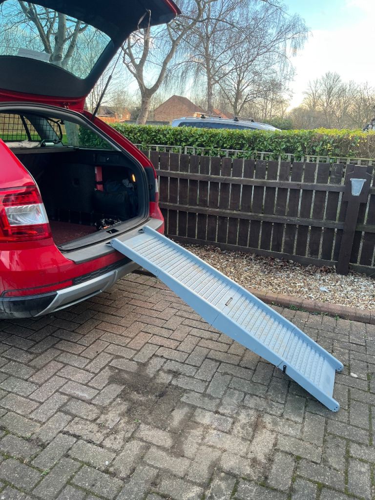 image for Doggie Ramp for Car