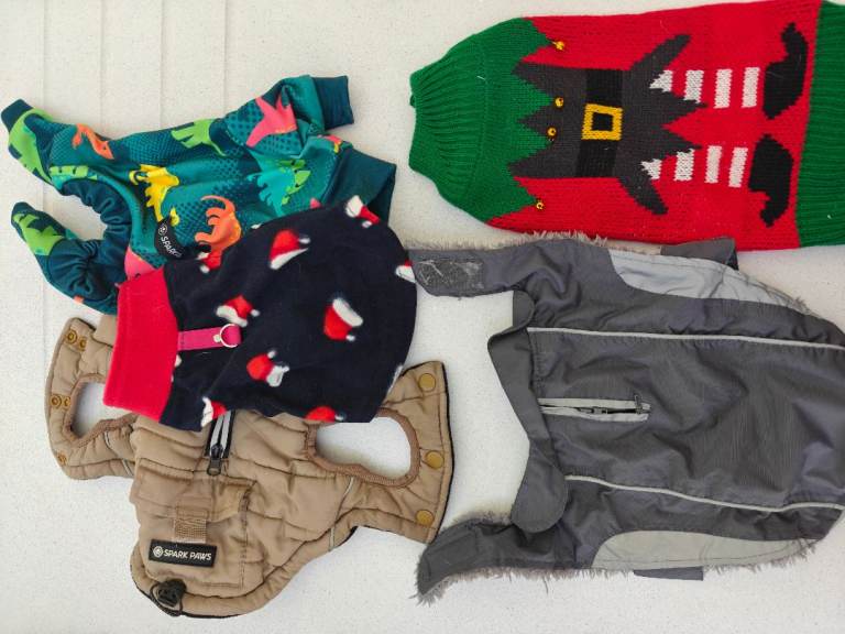 FREE TO COLLECT X small dog clothes