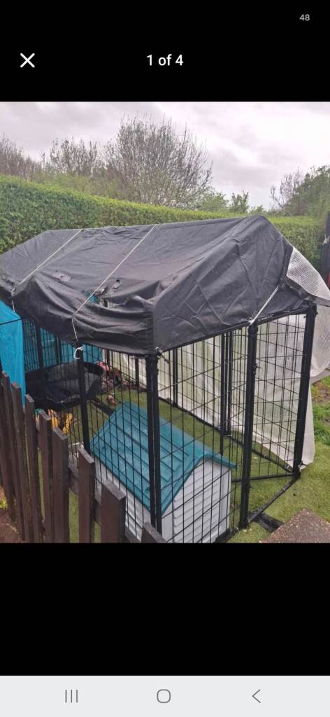 Xxl Outdoor Dog Kennel Run with Cover