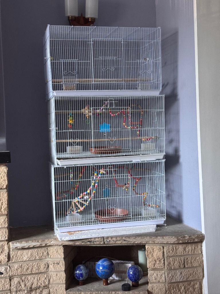 Wide flight cage for small birds