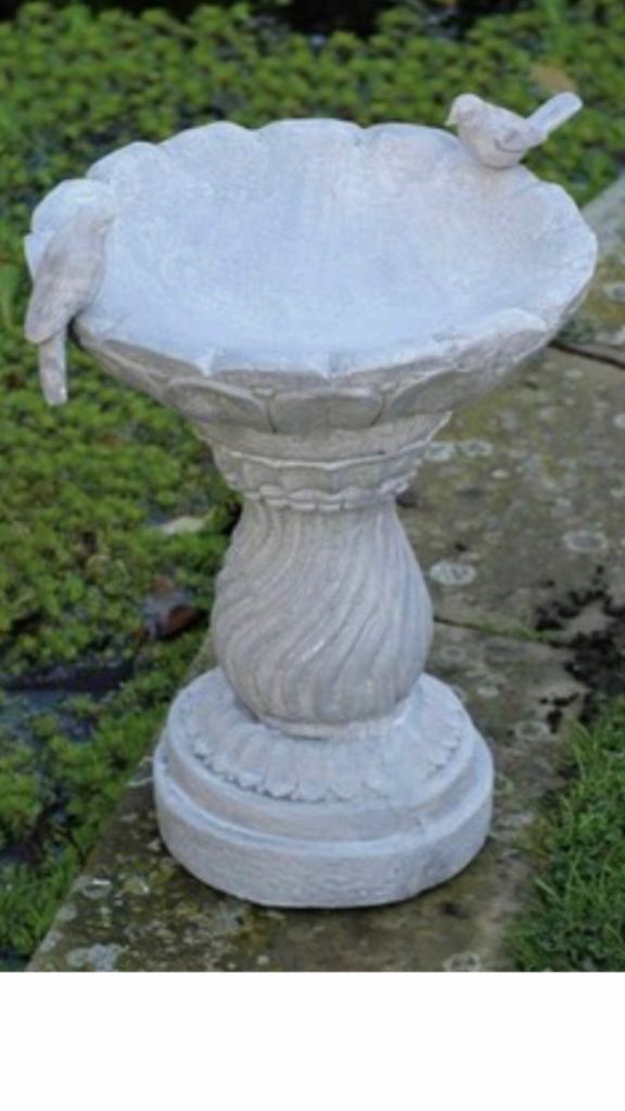 Bird bath feeder new