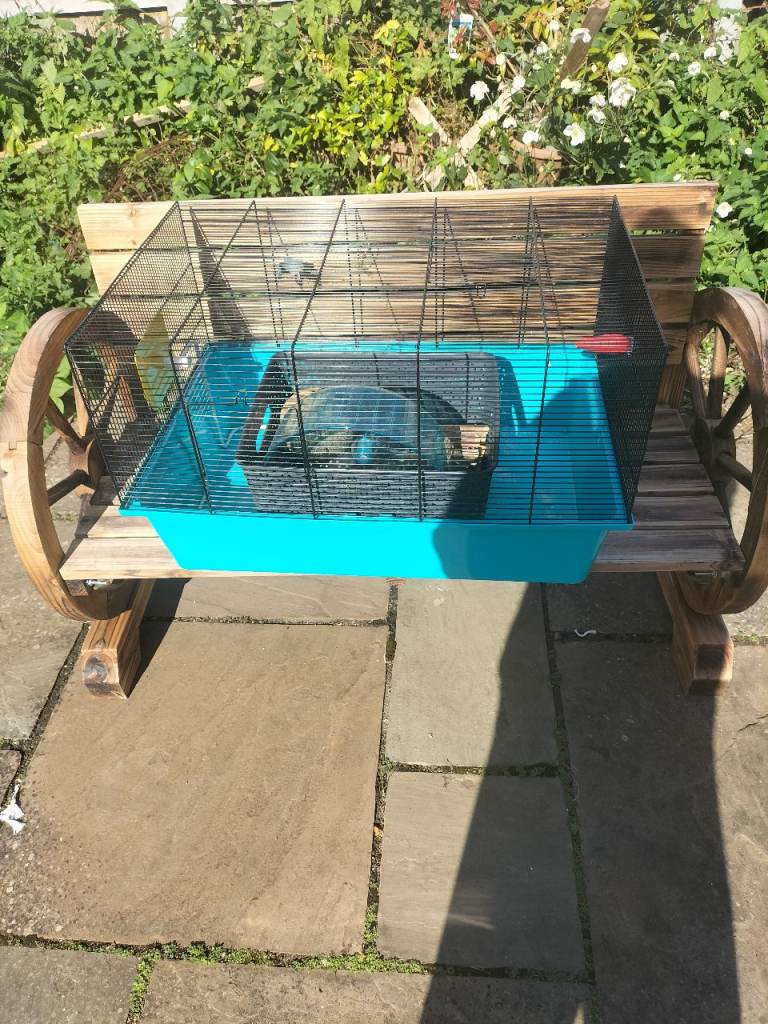 Hamster cage 