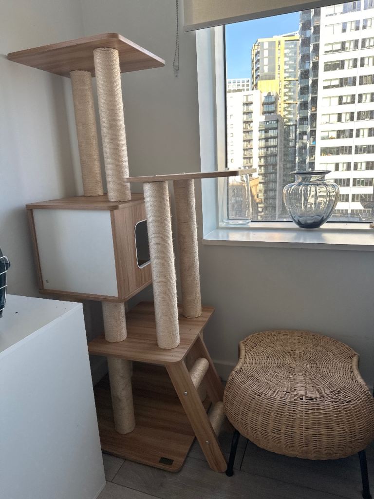 Large wooden cat tree / cat tower with house