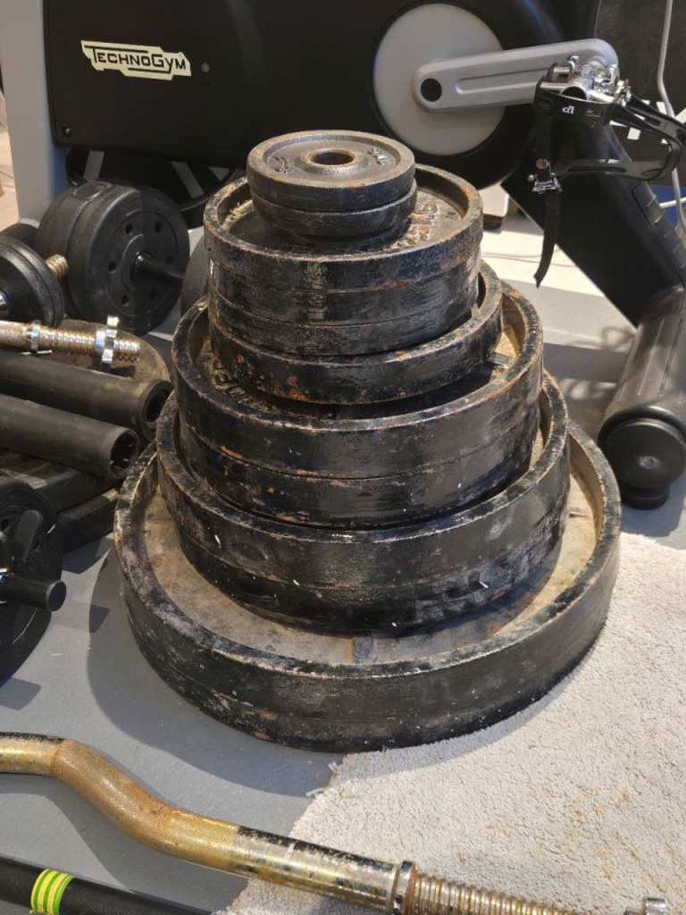 Weider weights steel plates