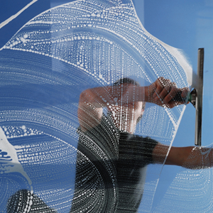 Edinburgh Window Cleaners