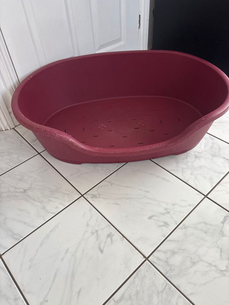 Plastic dog bed large