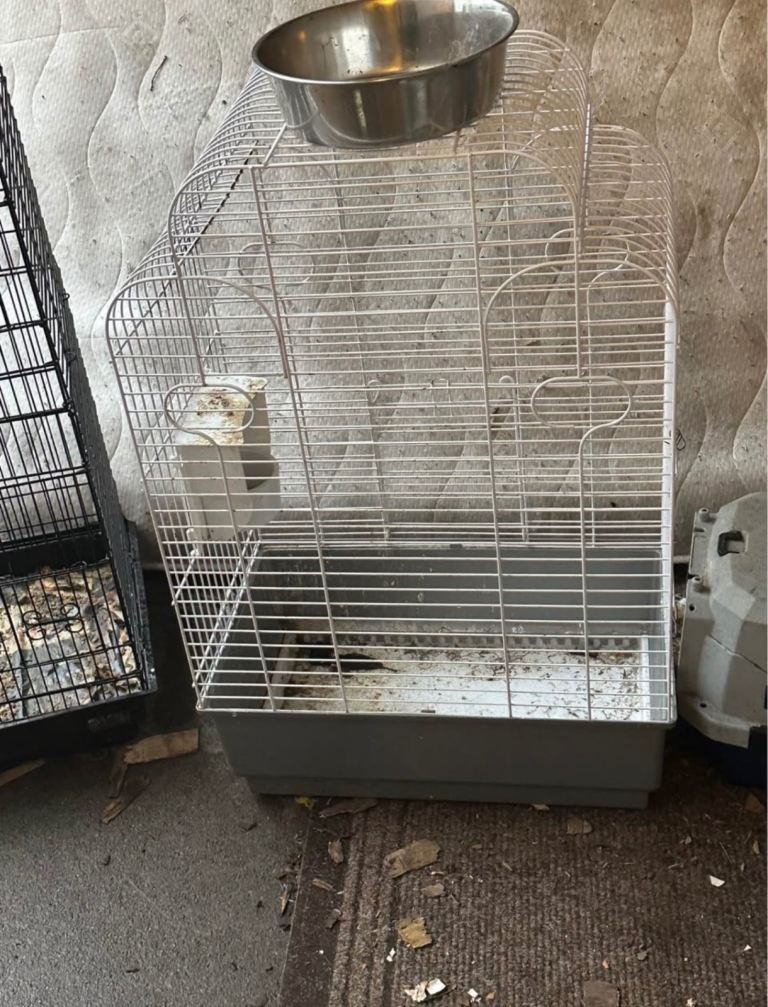 Ferplast Bird Cage for Birds, Parakeets, Parrotlets, Cockatiels (need gone)