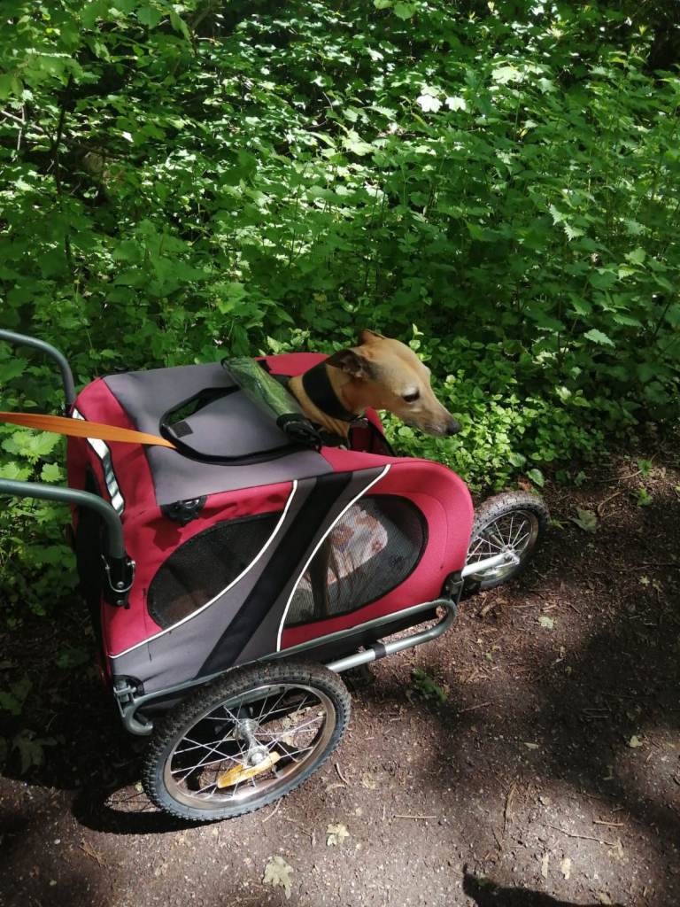 DOG PRAM MEDIUM SIZED DOG