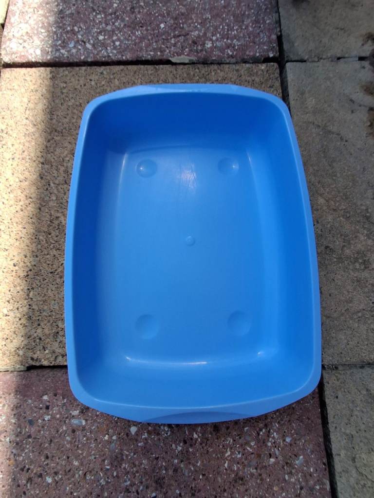 FREE - Kitten litter tray