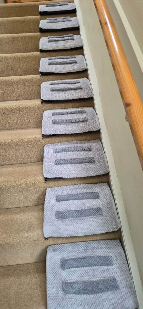 Stair wedges for old or infirm small dogs