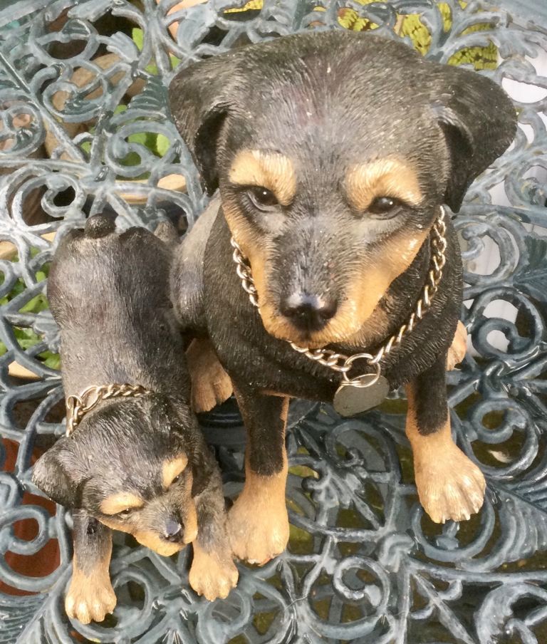 Dog with Puppy