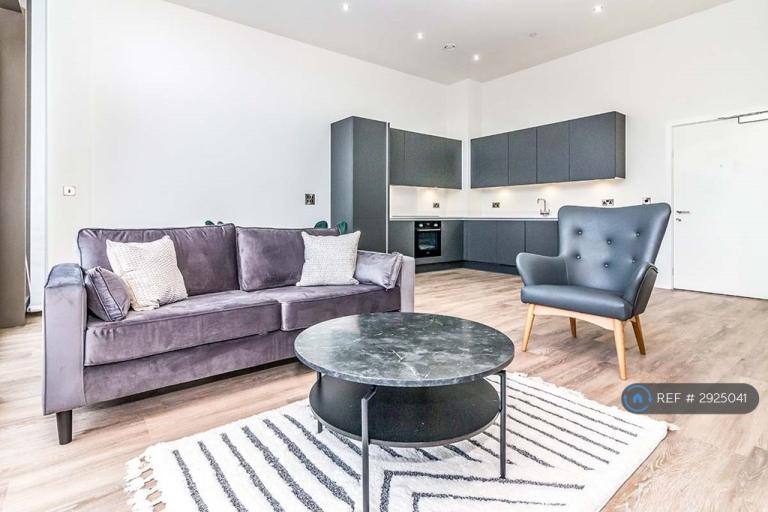 1 bedroom flat in Oxygen Tower, Manchester, M1 (1 bed) (#2925041)