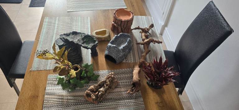 Leopard Gecko/reptiles accessories 