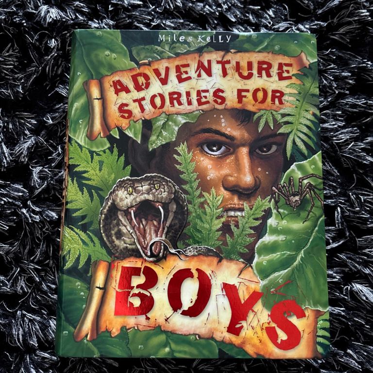 Adventure Stories for Boys by Belinda Gallagher (Paperback, 2012)