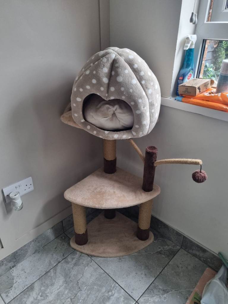 Cat tree and small bed