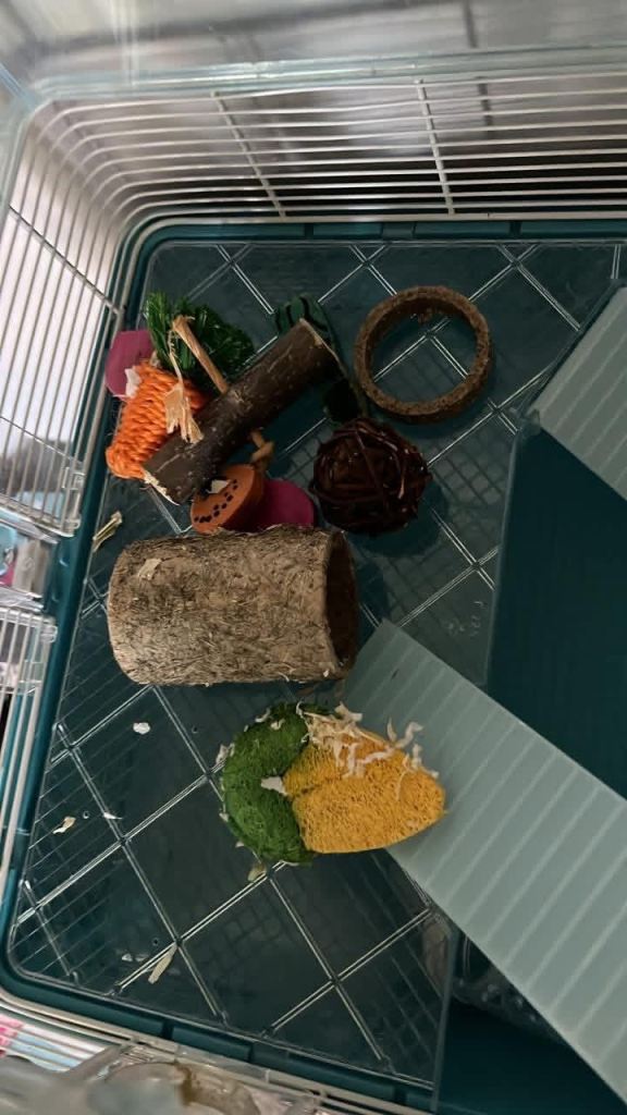 hamster cage with all accessories 