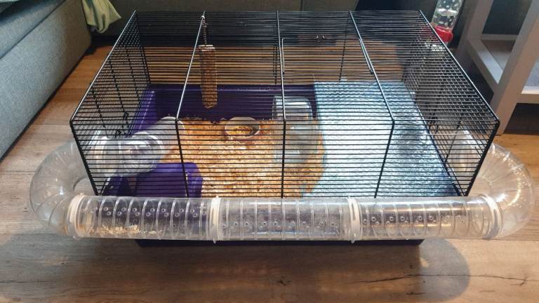 Hamster Cage