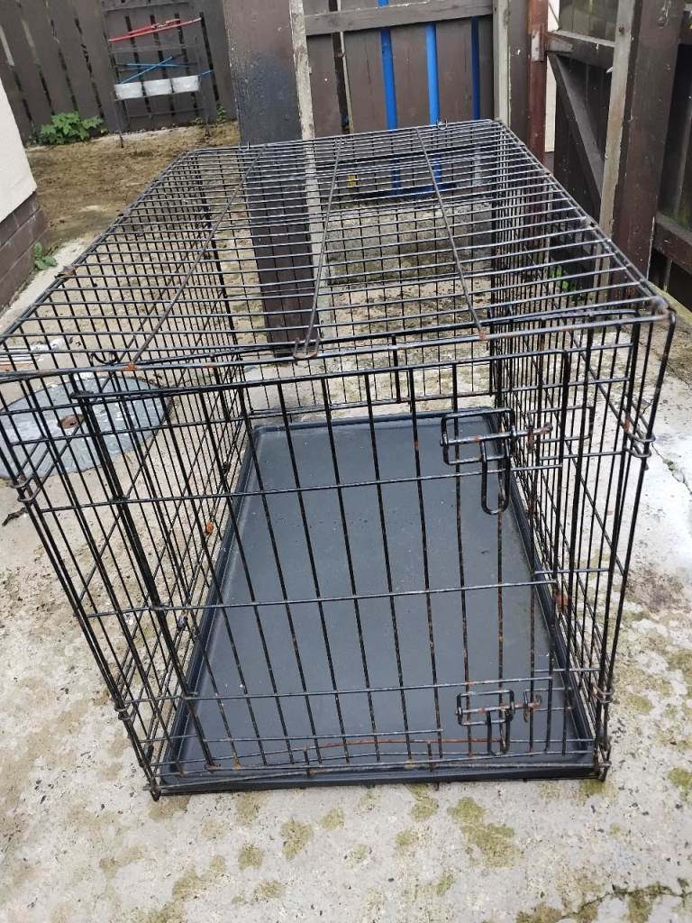 Large dog crate