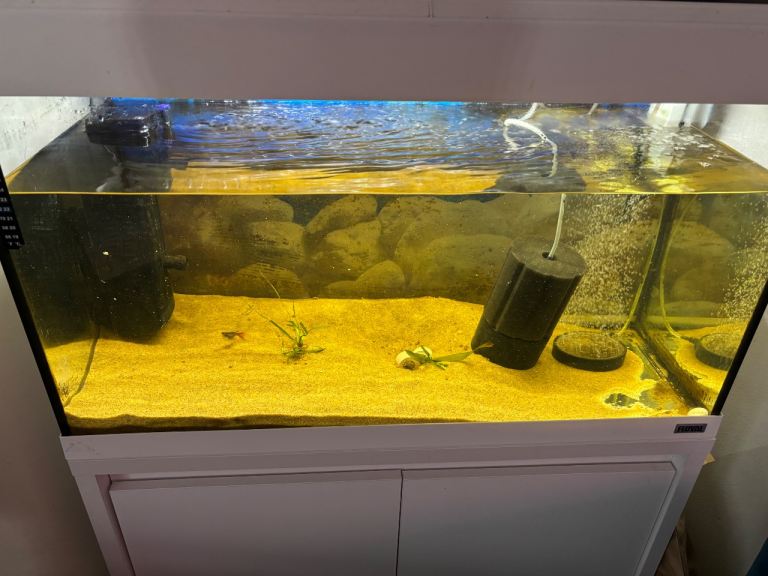 Aquarium large tank and cabinet 