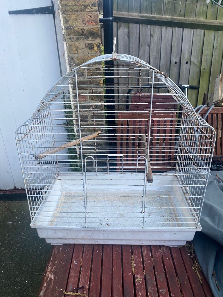 Bird Cage - medium size