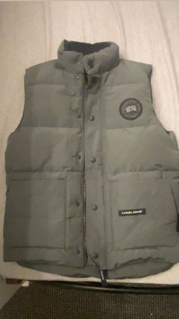 Canada goose 
