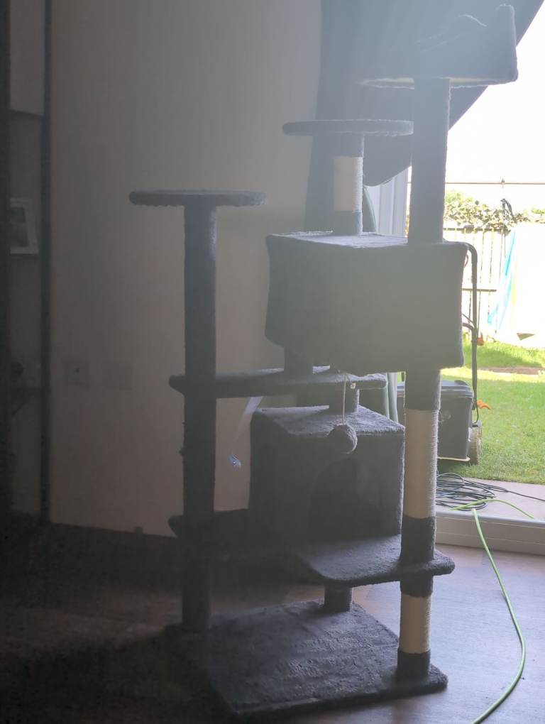 Cat tree 