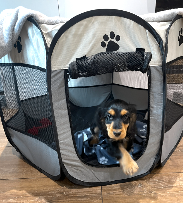 Portable Puppy Playpen - Foldable