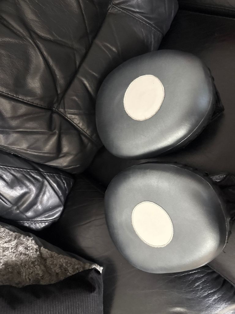 Boxing pads