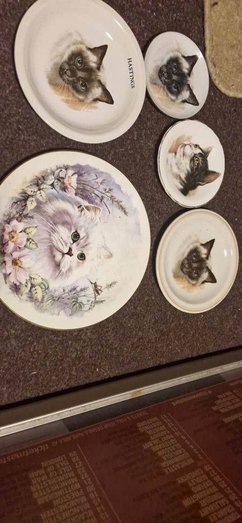 Collectible cat plates 