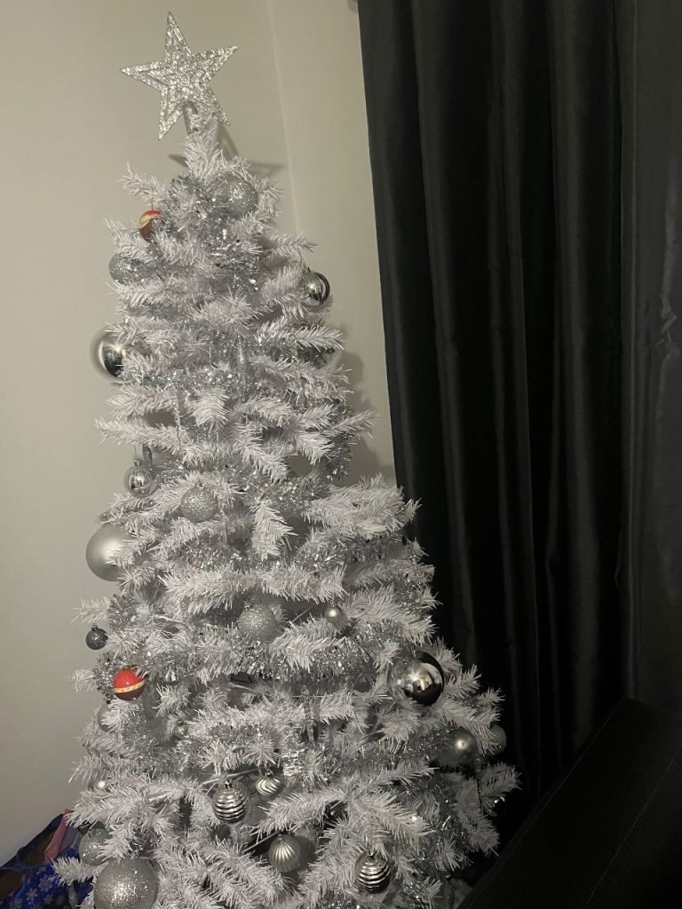 Christmas tree and decorations