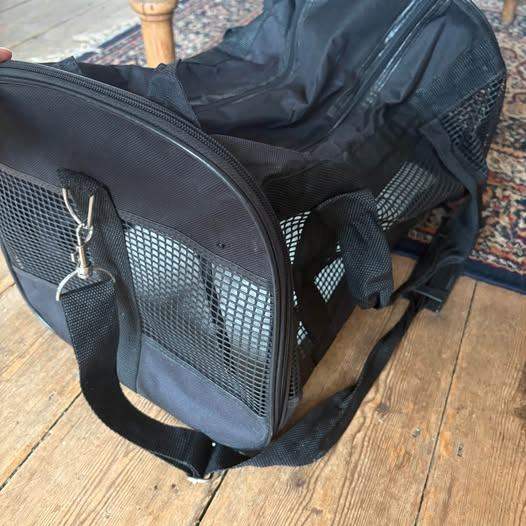 FREE Pet flight carrier bag