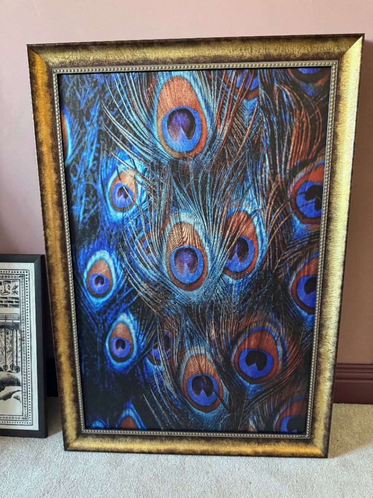Peacock feather print with gold wooden frame
