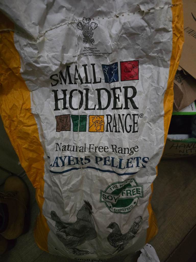 FREE CHICKEN FEED 