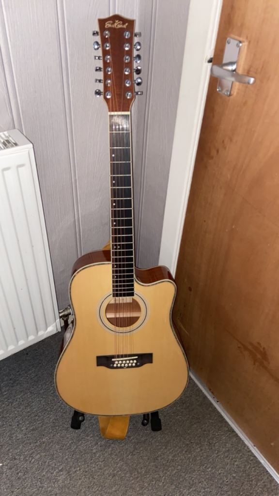 12 string guitar 