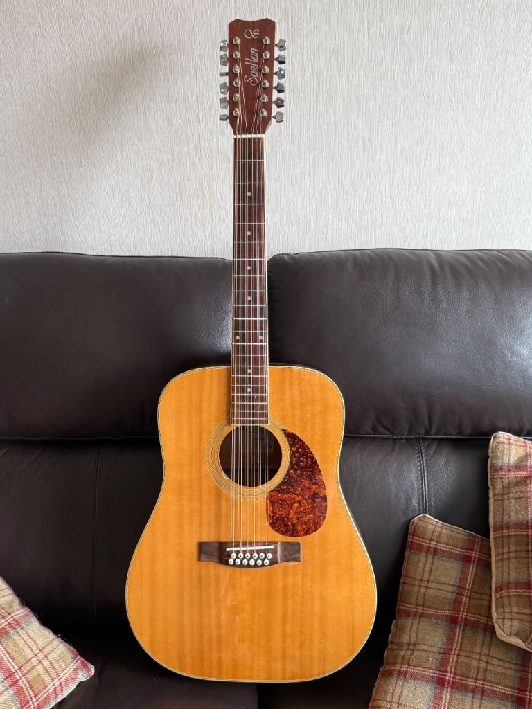 Rare Saehan 12 String Vintage Acoustic Guitar