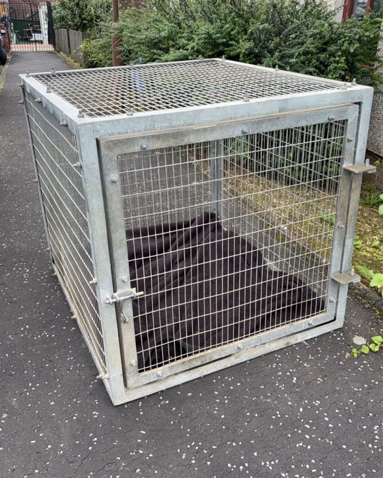 Dog cage 