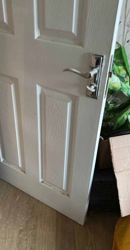 Door - ( FREE ) 