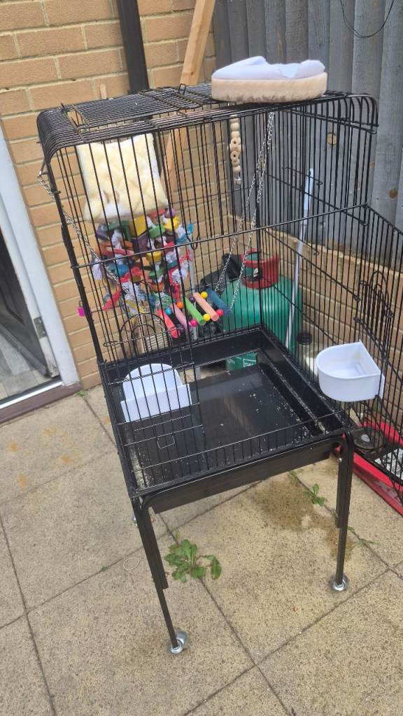 Bird cage with toys and bowls 
